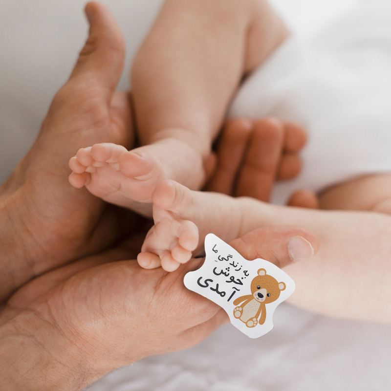 دفتر برنامه ریزی دی روحه مدل مادر که می شوم