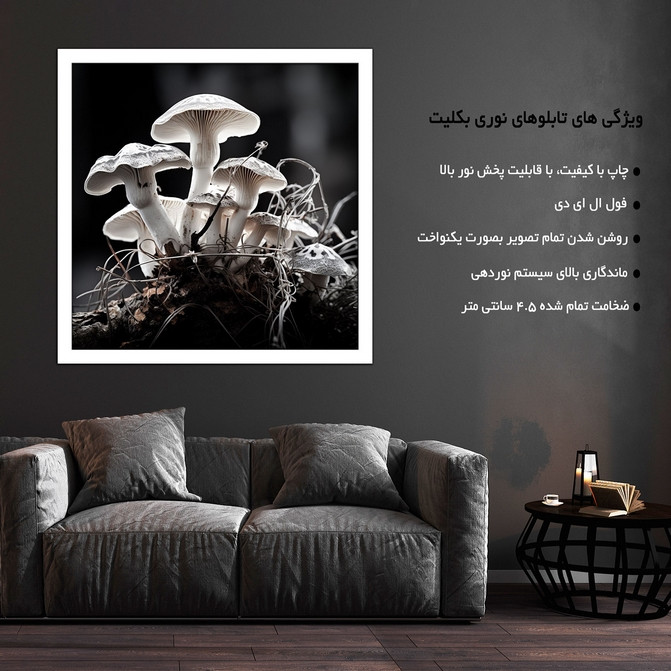 تابلو نوری بکلیت طرح عکس هنری قارچ مدل W-MID-18727