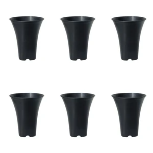 گلدان مدل 9cm بسته 6 عددی