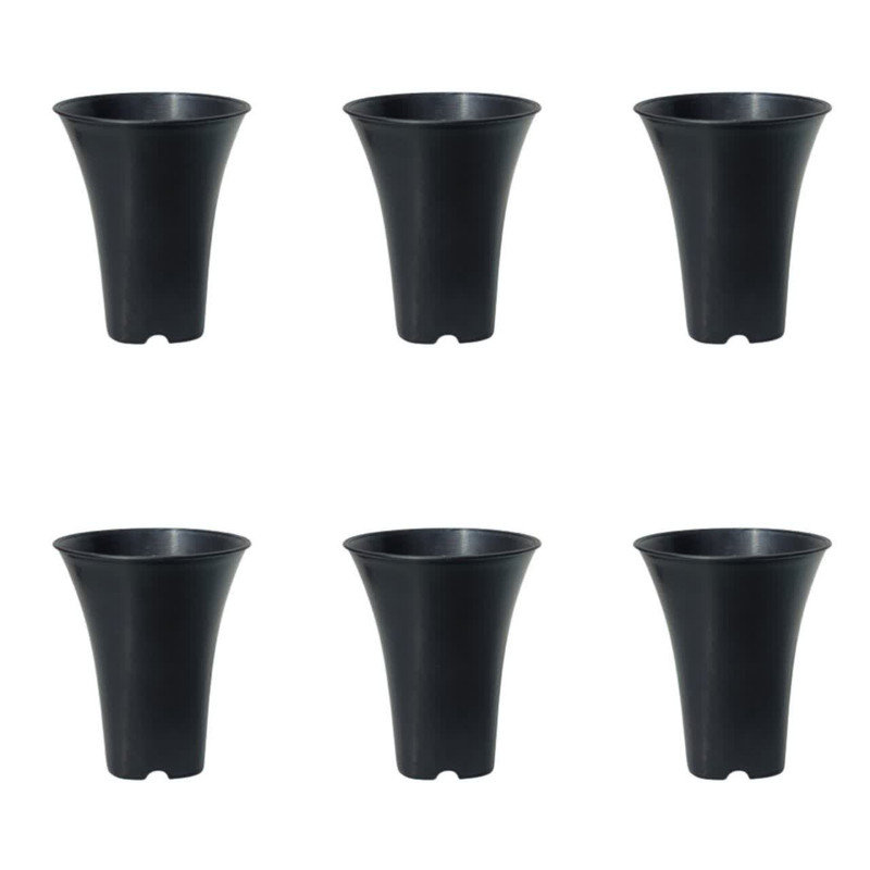 گلدان مدل 9cm بسته 6 عددی