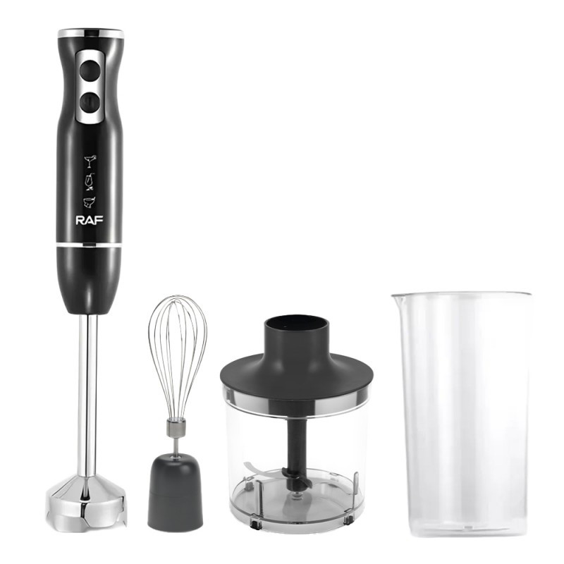 مخلوط کن و آسیاب کن 600 میلی لیتری راف مدل R.3005