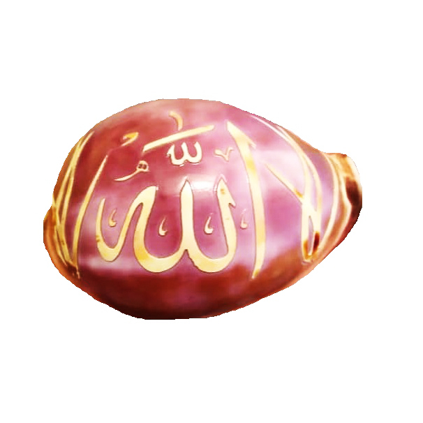 صدف تزئینی مدل HS101