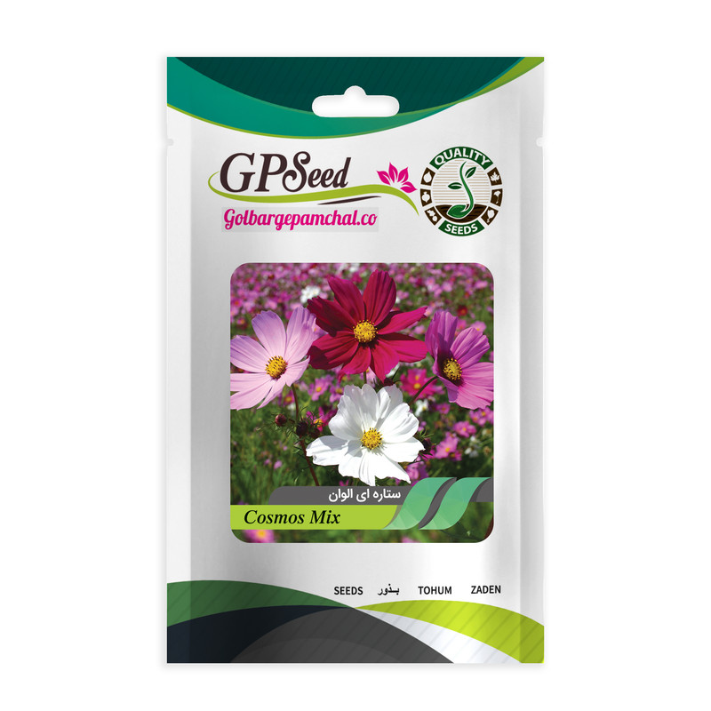 بذر گل ستاره ای پابلند پرگل الوان گلبرگ پامچال کد GPF-054 بذر گل ستاره ای پابلند پرگل الوان گلبرگ پامچال کد GPF-054