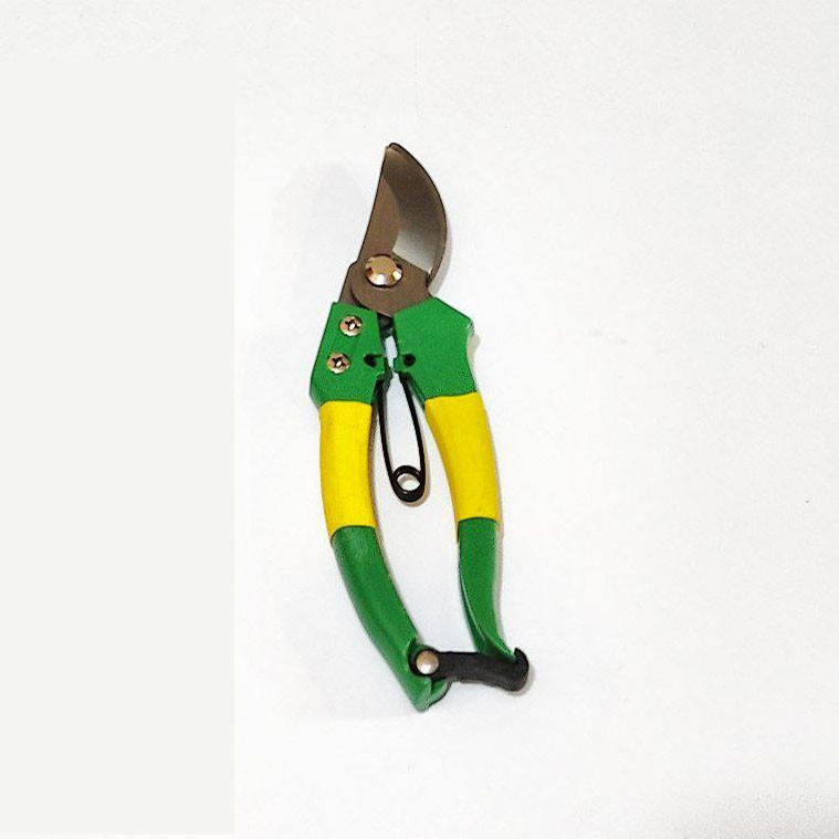 قیچی میوه چینی مدل سرکج مونتانا قیچی میوه چینی مدل سرکج مونتانا