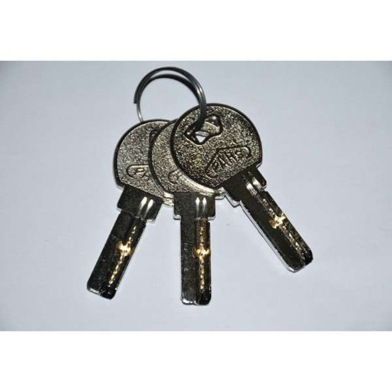 قفل آویز پارس مدل 55csp