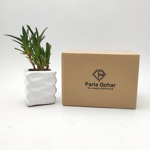 آویز نقره زنانه پارلا گوهر مدل شرف الشمس کد 2879 آویز نقره زنانه پارلا گوهر مدل شرف الشمس کد 2879