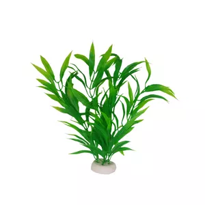 گیاه تزیینی آکواریوم مدل گندمی 23