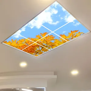 تایل سقفی آسمان مجازی مدل SK-424-2x3 سایز 60x60 مجموعه شش عددی