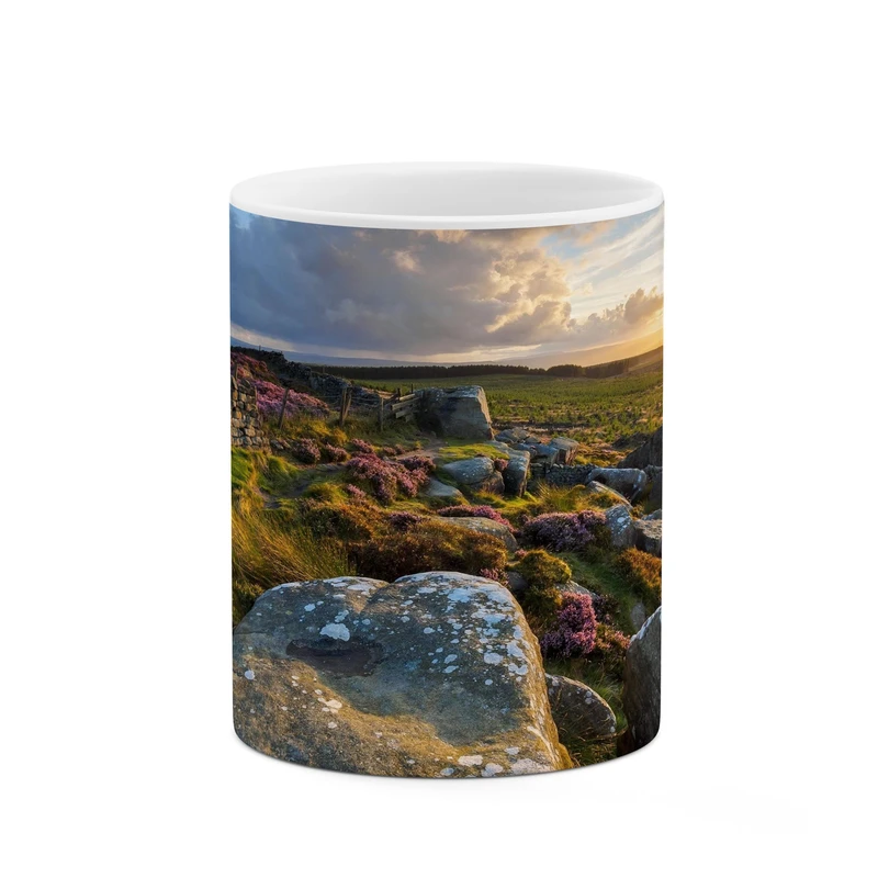 ماگ کاکتی مدل منظره کد mgh17843