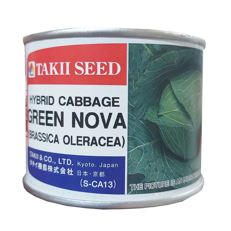 بذر کلم پیچ گرین نوا تاکی کد D2011