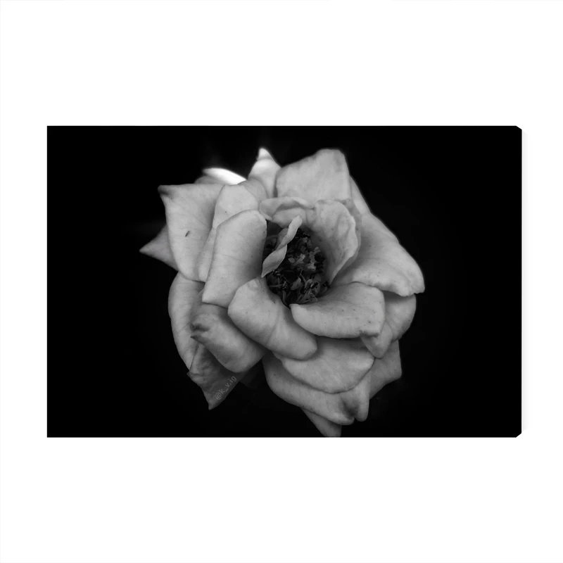 تابلو شاسی عرش مدل گل رز کد As1787