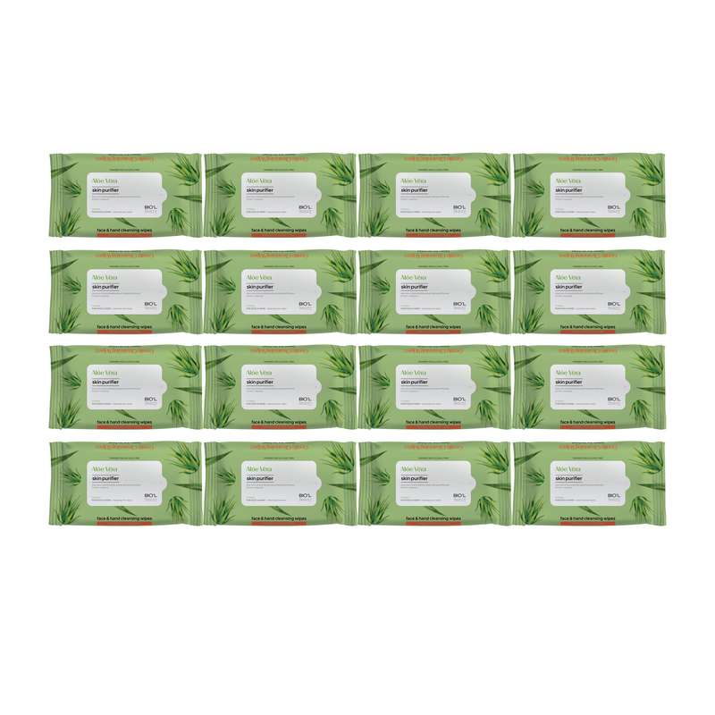 دستمال مرطوب بیول مدل Aloe Vera مجموعه 16 عددی