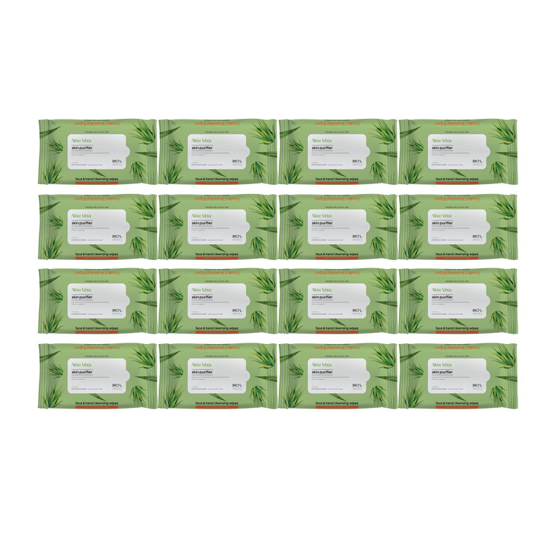 دستمال مرطوب بیول مدل Aloe Vera مجموعه 16 عددی