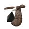 آنباکس عقاب تعادلی DSK 306 توسط معصومه کشوری در تاریخ ۱۲ اسفند ۱۴۰۲