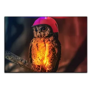 تابلو شاسی بکلیت طرح جغد مدل SH-S5508