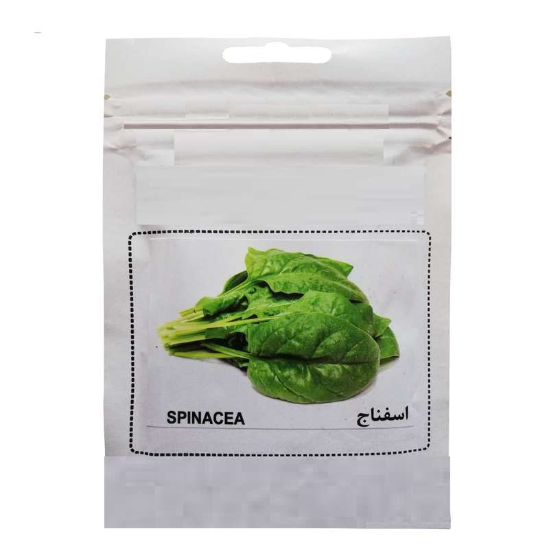 بذر اسفناج کد 00020