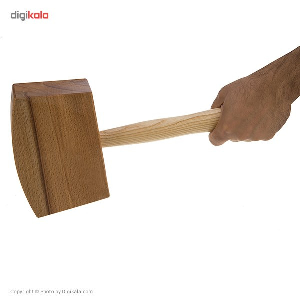 پتک ایران پتک مدل AP1010