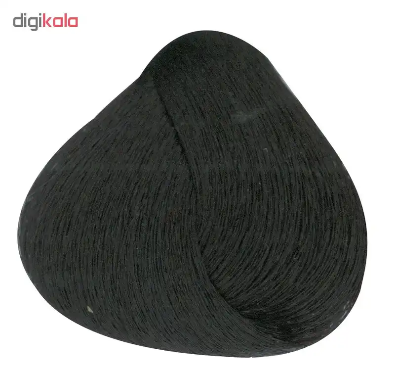 رنگ موی پی هو مدل Ashshades شماره 1.1 حجم 100 میلی لیتر رنگ مشکی پرکلاغی