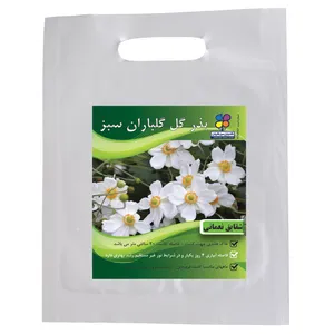 بذر گل شقایق نعمانی گلباران سبز