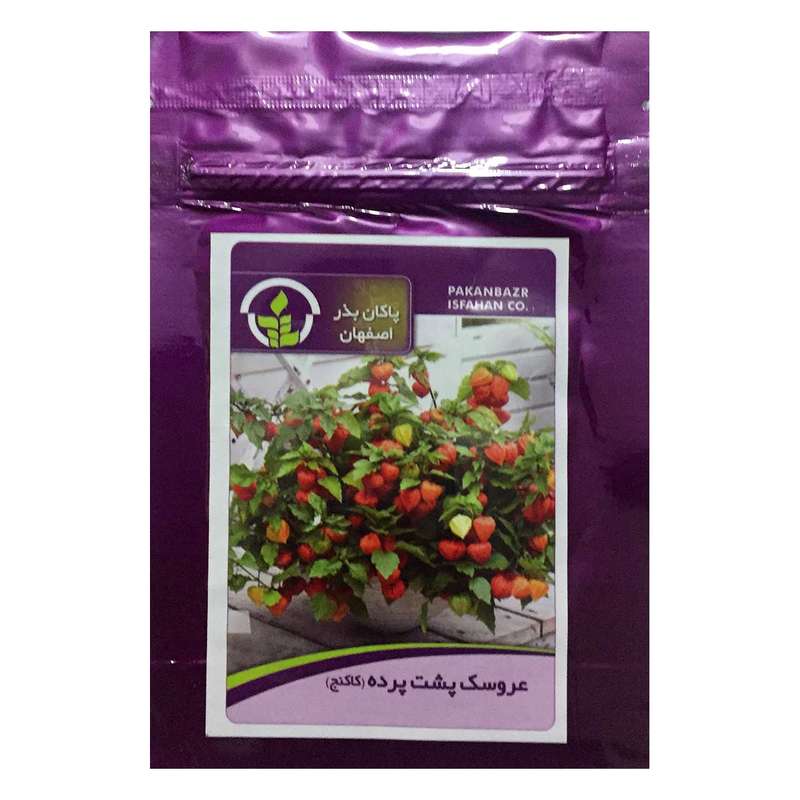 بذر عروسک پشت پرده پاکان بذر اصفهان کد PBF-49 بذر عروسک پشت پرده پاکان بذر اصفهان کد PBF-49