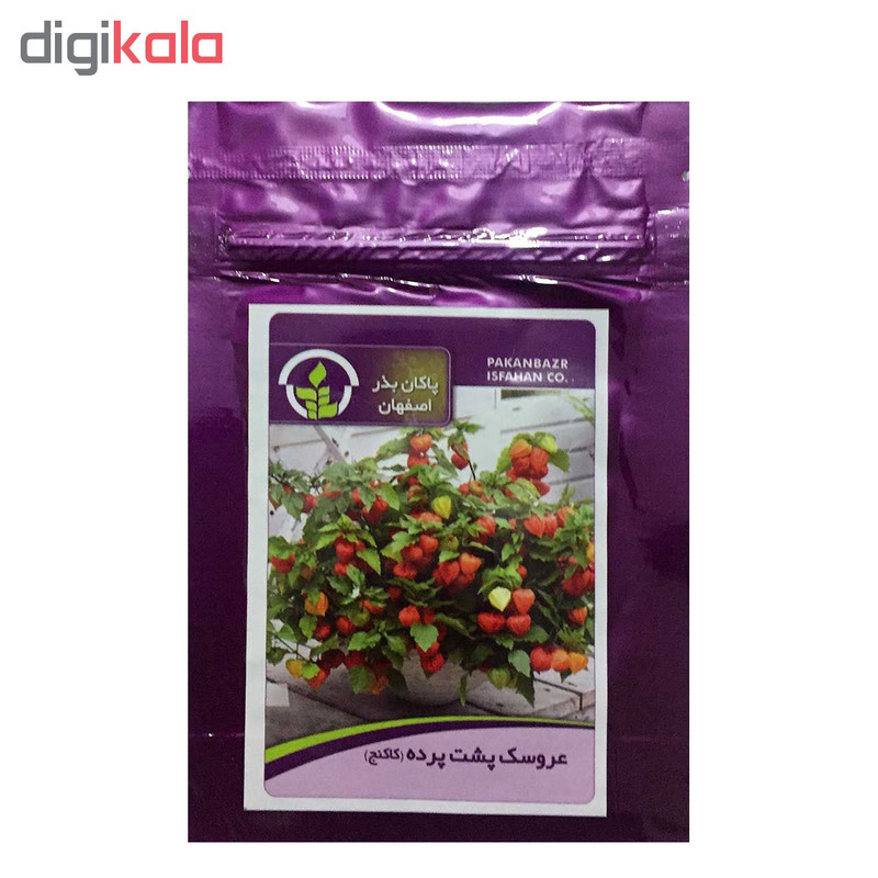 بذر عروسک پشت پرده پاکان بذر اصفهان کد PBF-49 بذر عروسک پشت پرده پاکان بذر اصفهان کد PBF-49