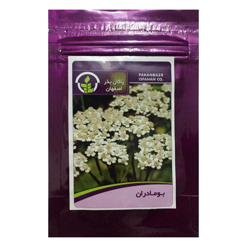 بذر بودماران پاکان بذر اصفهان کد PBF-51