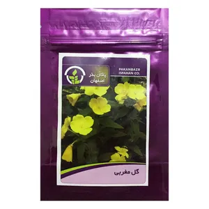 بذر گل مغربی پاکان بذر اصفهان کد PBF-54
