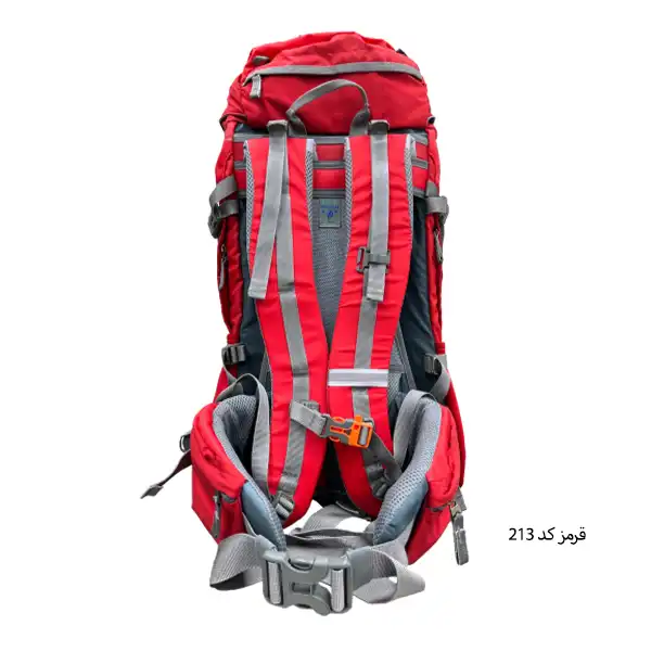 کوله پشتی کوهنوردی 45 لیتری دیوتر مدل APP-132