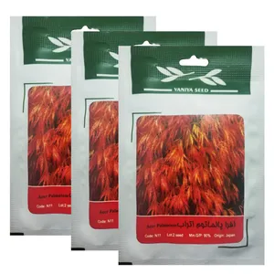 بذر درخت افرا پالماتوم اتراب وانیا سید کد N11 بسته 3 عددی