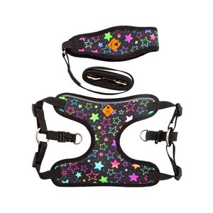 قلاده سگ تادو کد C109 سایز L