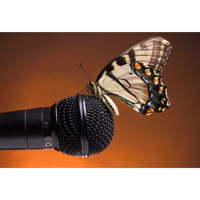 تابلو شاسی مدل پروانه و بلندگو T5871