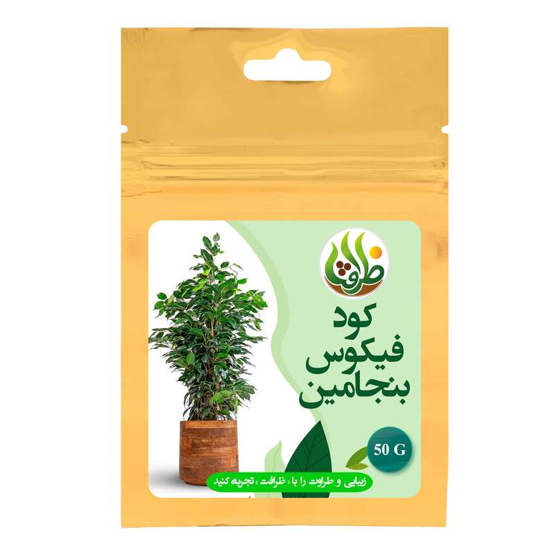 کود کامل تقویتی فیکوس بنجامین ظرافت مدل KO20989 وزن 50 گرم کود کامل تقویتی فیکوس بنجامین ظرافت مدل KO20989 وزن 50 گرم