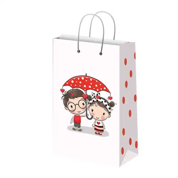 ساک هدیه مدل 10253 بسته 12 عددی