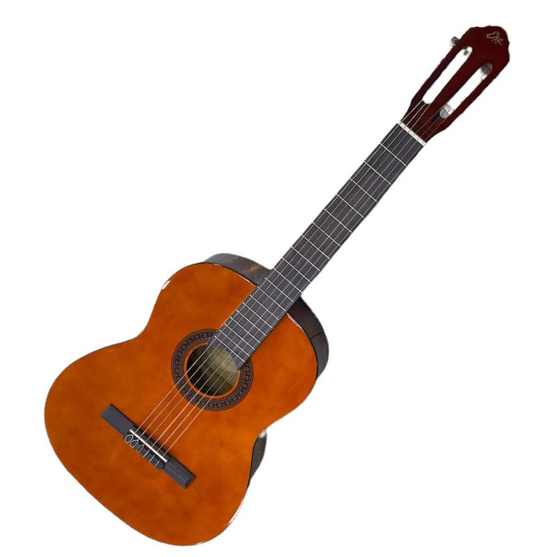 گیتار کلاسیک اکو مدل cs10