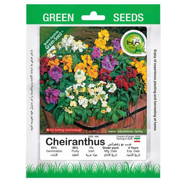 بذر شب بو زعفرانی گیلدا کد 898