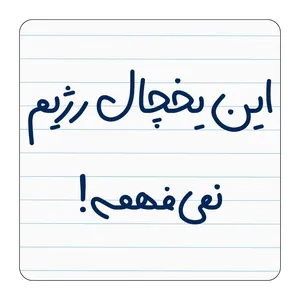 مگنت مدل این یخچال رژیم نمیفهمه کد 002