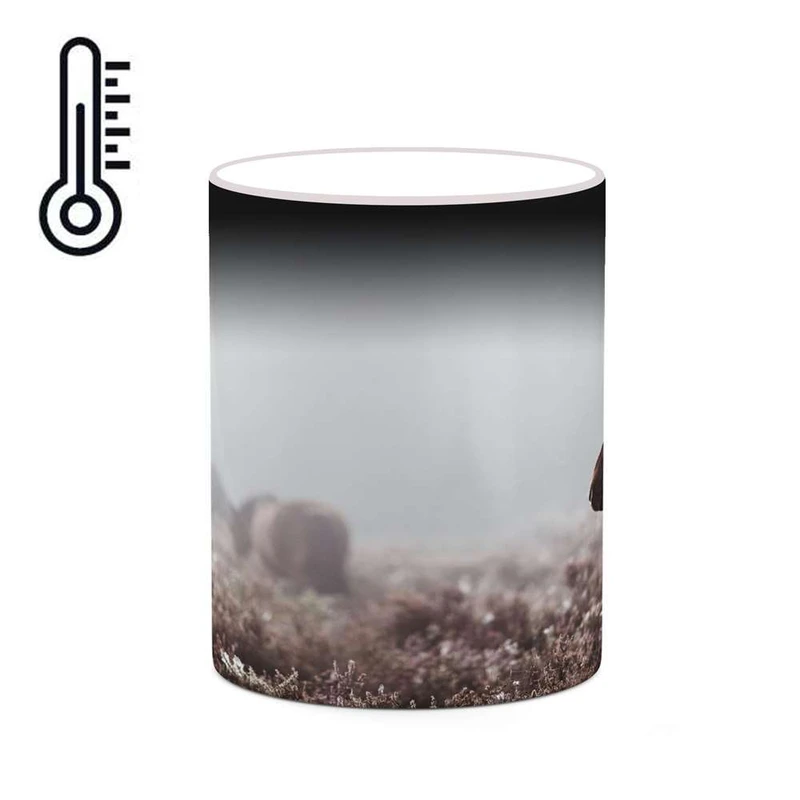 ماگ حرارتی کاکتی مدل اسب کد mgh24088