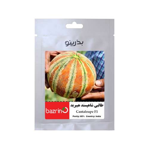 بذر میوه طالبی شاهپسند بذرینو کد BZNO-113