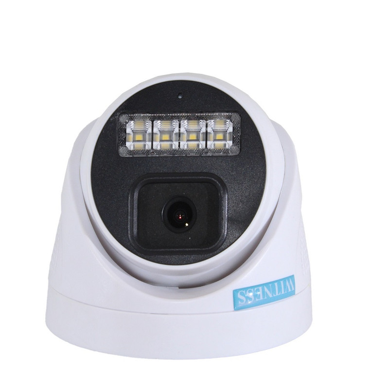 دوربین مداربسته آنالوگ ویتنس مدل WS-501DWM