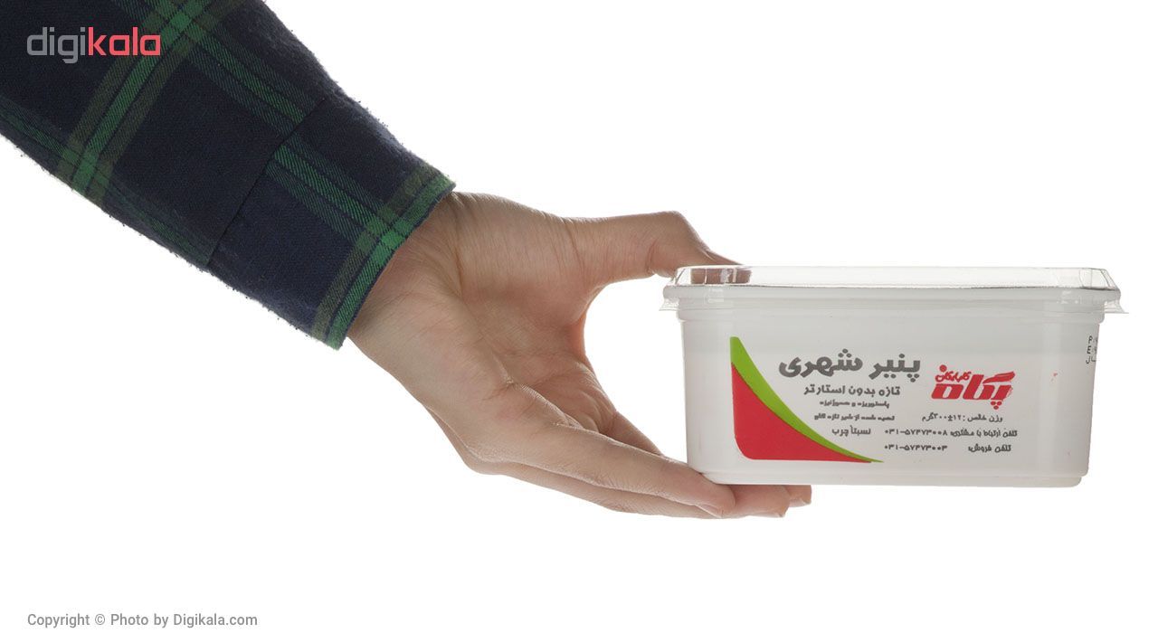 پنیر شهری پگاه مقدار 300 گرم main 1 3