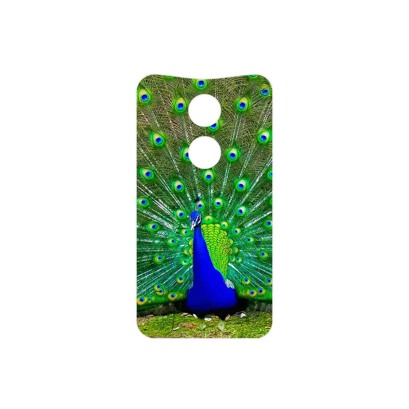 برچسب پوششی ماهوت مدل Peacock مناسب برای گوشی موبایل موتورولا Moto X 2014