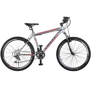 دوچرخه شهری کراس مدل Lizard RS35 سایز 26