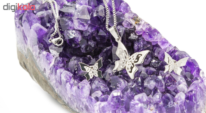 نیم ست بهارگالری مدل SIilver Butterfly کد S209025
