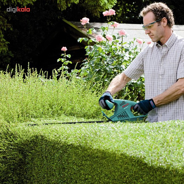 شمشاد زن بوش AHS 60-16