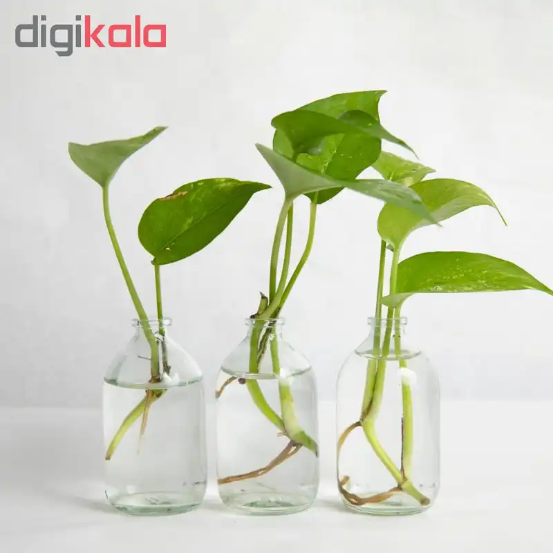 گلدان مدل ویال 1G1-2 بسته 3 عددی