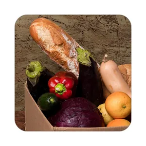 زیر لیوانی کاکتی طرح میوه مدل mp20541