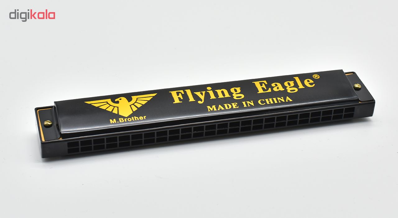 سازدهنی دیاتونیک مدل Flying Eagle 1