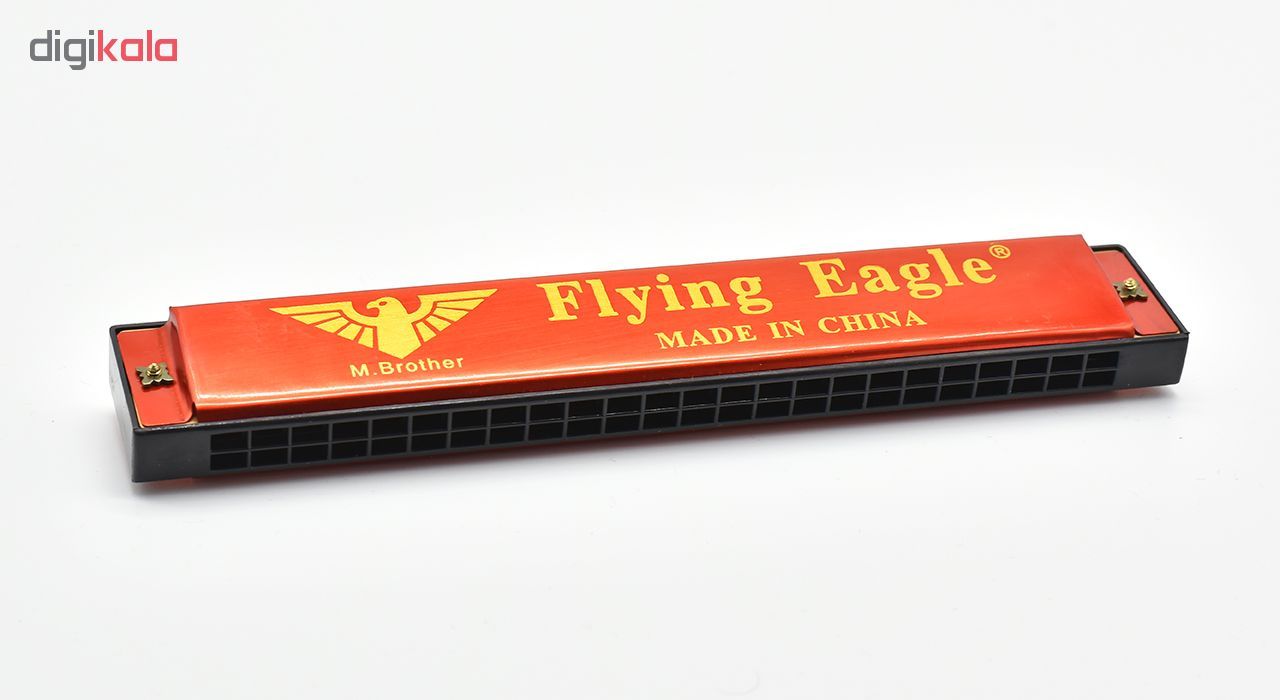 سازدهنی دیاتونیک مدل Flying Eagle 1