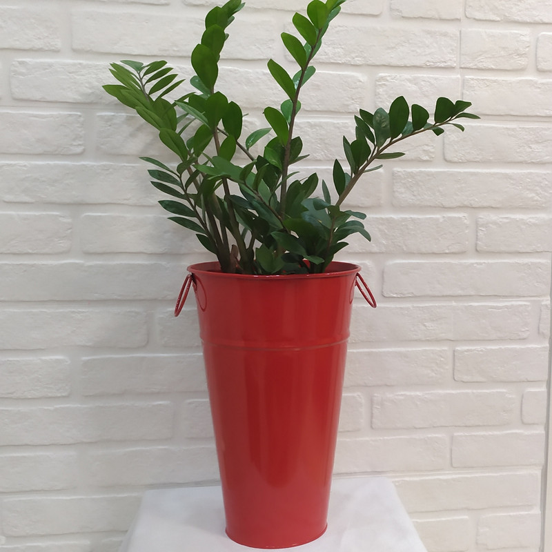 گلدان مدل تورینگ بلوم 40 گلدان مدل تورینگ بلوم 40