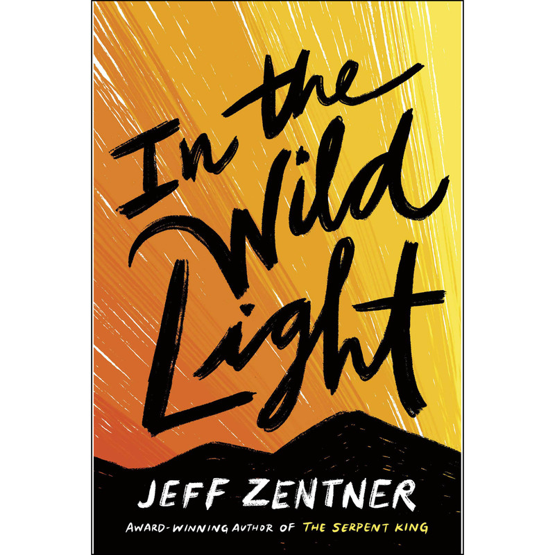 قیمت و خرید کتاب In the Wild Light اثر Jeff Zentner انتشارات Crown